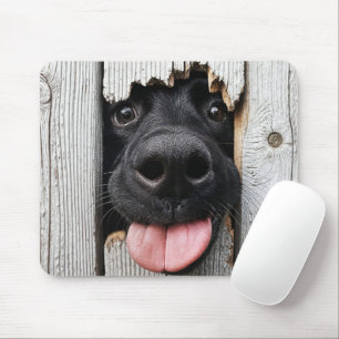 Mousepad Nariz De Retriever De Labrador Negro No Buraco De