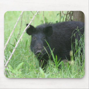 Mousepad Nariz sujo