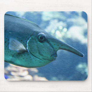 Mousepad Naso brevirostris