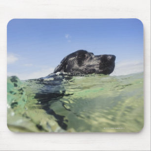 Mousepad Natação do cão na água