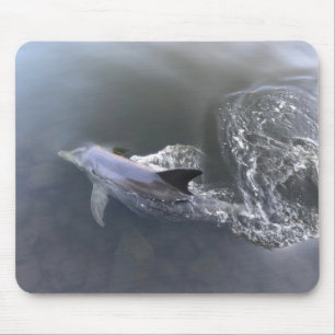 Mousepad Natação em Golfinho