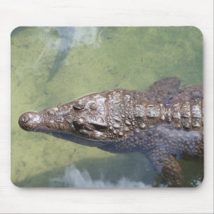 Mousepad natação por jogador