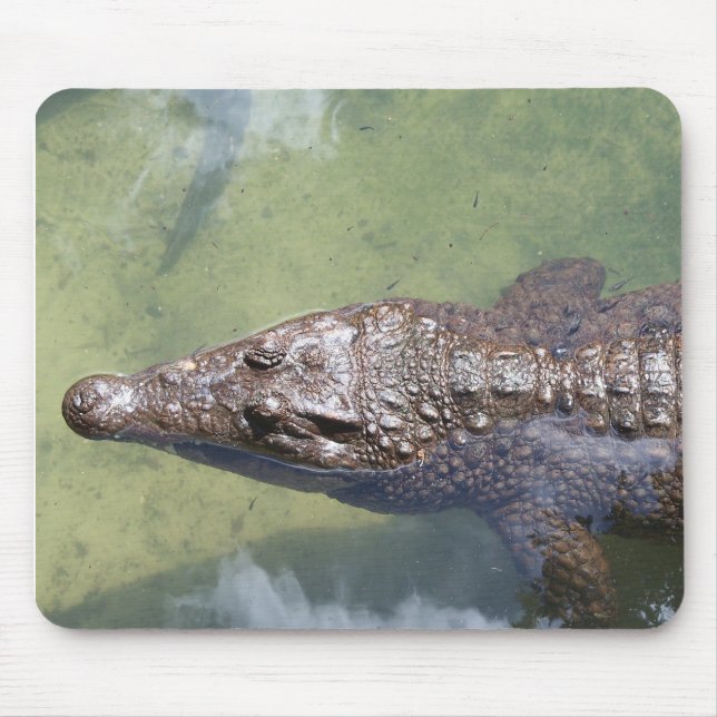 Mousepad natação por jogador (Frente)