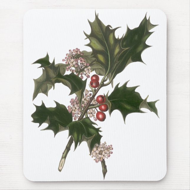 Mousepad Natal Antigo, Planta de Azevim Verde com Frutas (Frente)