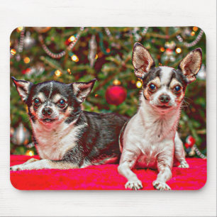 Mousepad Natal Chihuahua