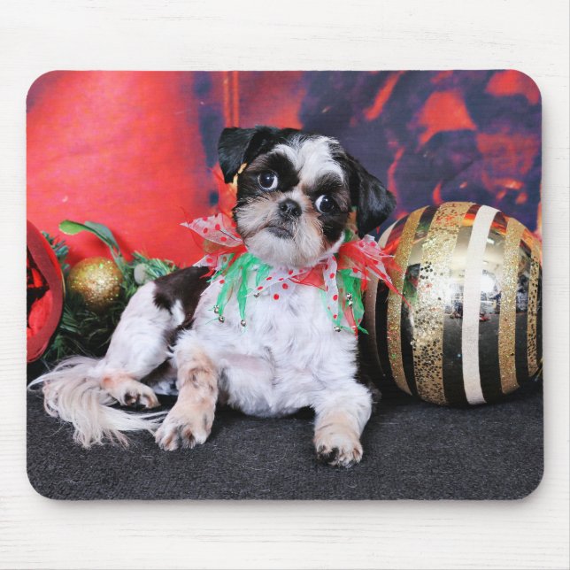 Mousepad Natal - Shih Tzu - Chin Ching (Frente)