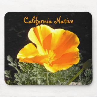 Mousepad Nativo de Califórnia