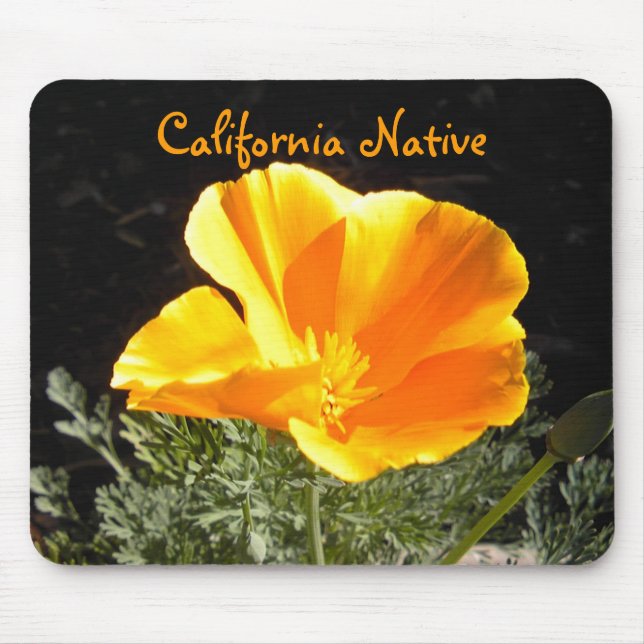 Mousepad Nativo de Califórnia (Frente)