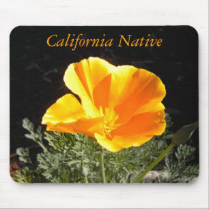 Mousepad Nativo de Califórnia