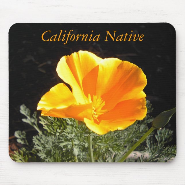 Mousepad Nativo de Califórnia (Frente)