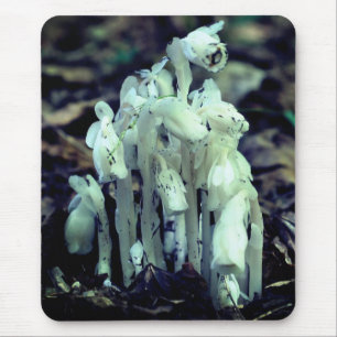 Mousepad Natural de Cachorros de Flores Selvagens
