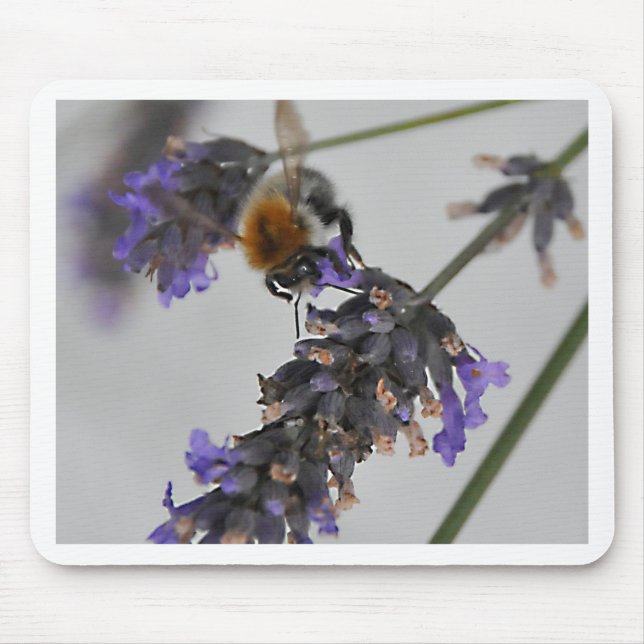 Mousepad Natures WonMaravilha Workers (Frente)