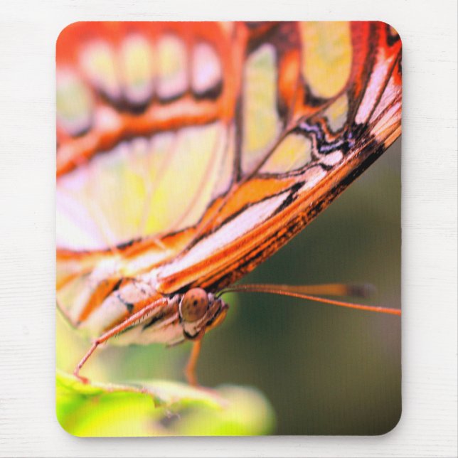Mousepad Natureza da face da borboleta (Frente)