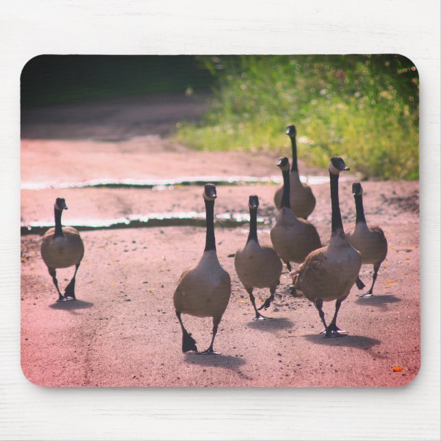 Mousepad Natureza da família de ganso do Canadá (Frente)