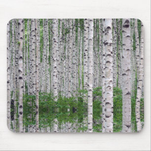 Mousepad Natureza da Floresta de Birch