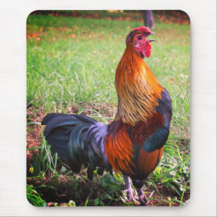 Mousepad Natureza de crescimento do galo