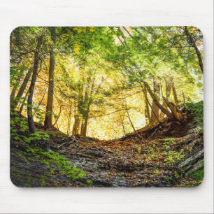 Mousepad Natureza do Sunset