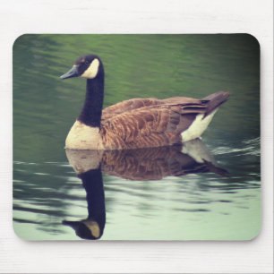 Mousepad Natureza dos Gansos do Canadá