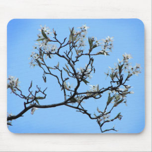 Mousepad Natureza Floral de Cereja Selvagem