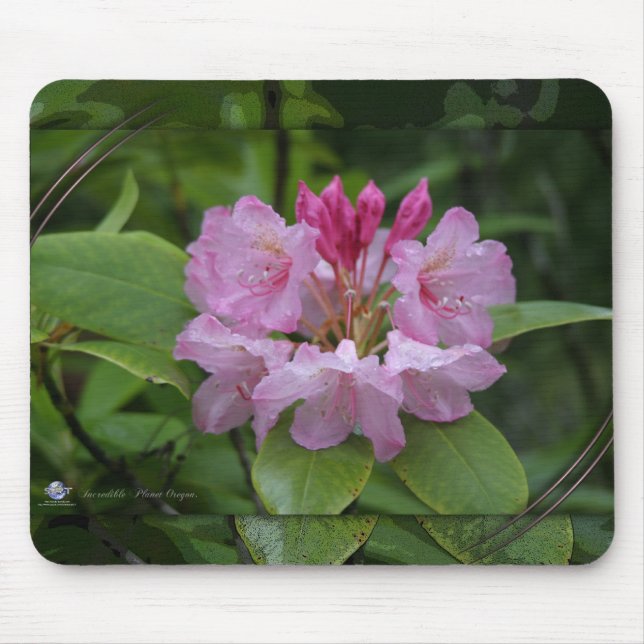 MOUSEPAD NATUREZA OREGON (Frente)