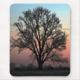 Mousepad Natureza ou natureza