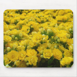 Mousepad Natureza Vivid Amarelo Flor Foto Floral