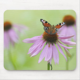 Mousepad Néctar do bebendo da borboleta de pavão (Inachis
