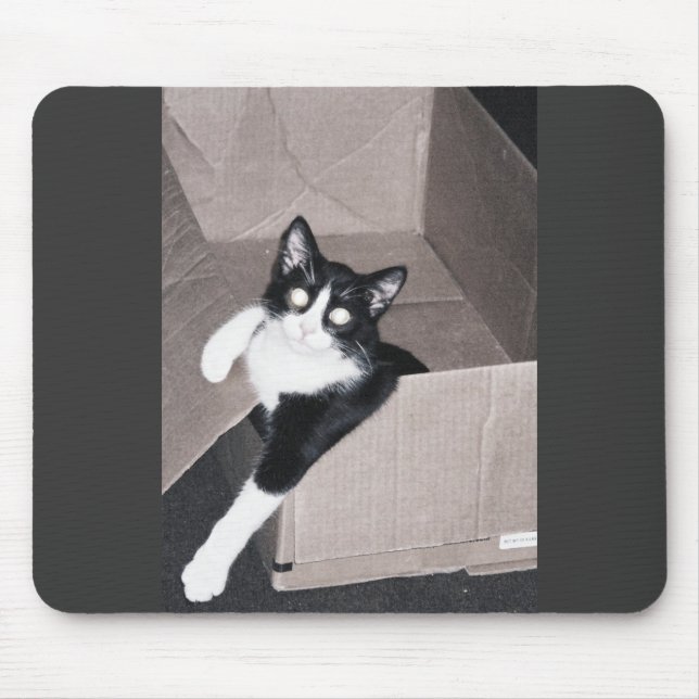 Mousepad nekoo (Frente)