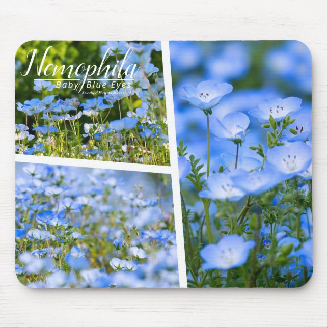 Mousepad NEMOPHILA（Baby Blue Eyes） (Frente)