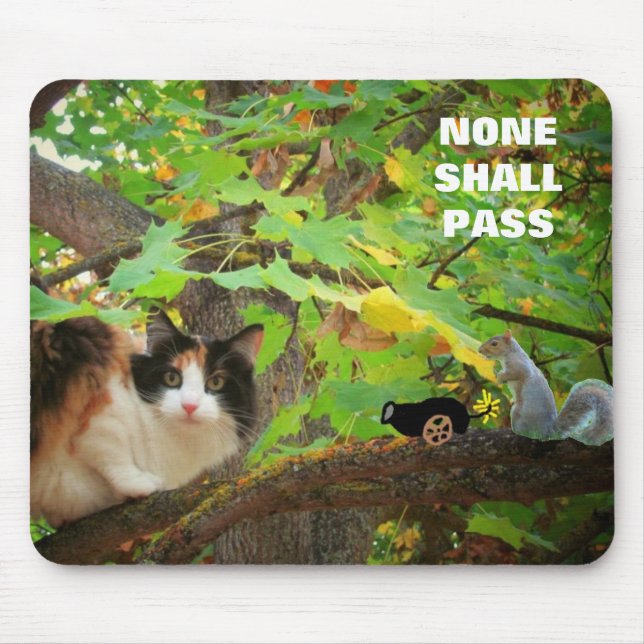 Mousepad Nenhum deve passar Cat vs. Esquilo (Frente)