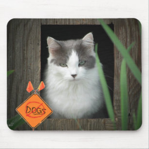 Mousepad Nenhum gatinho da zona dos cães
