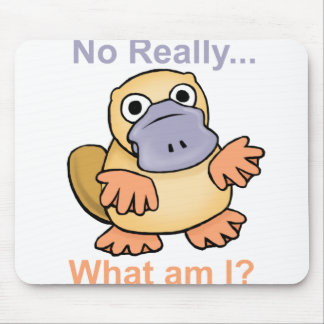 Mousepad Nenhum realmente… Que são mim? Platypus