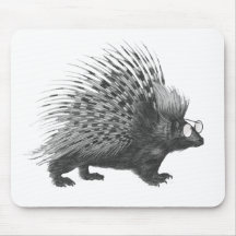 Nerdy Porcupine