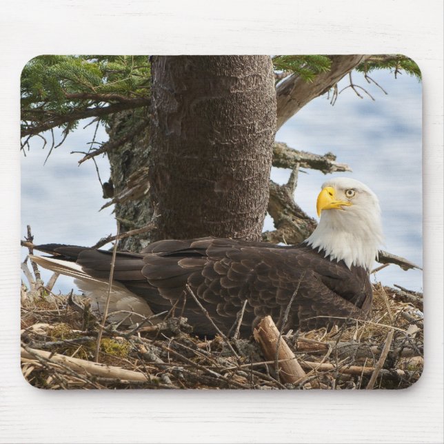 Mousepad Nesting Bald Eagle (Frente)