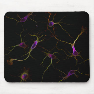 Mousepad NeuroRootsPad