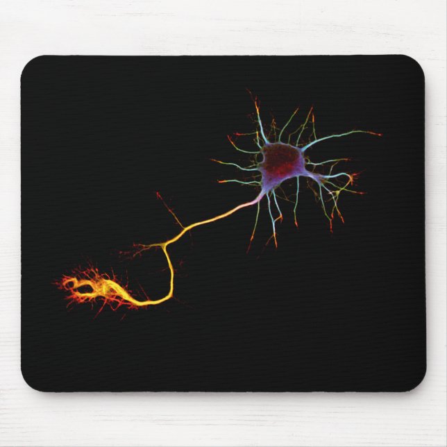 Mousepad Neuroscience, neuron , science (Frente)
