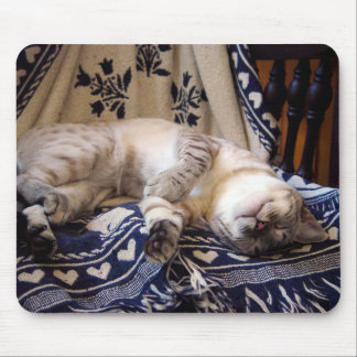 Mousepad Neve Bengal no balancim
