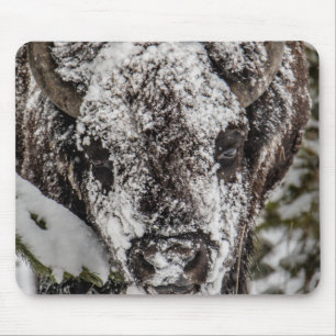 Mousepad Neve coberta por Bison Grand Teton