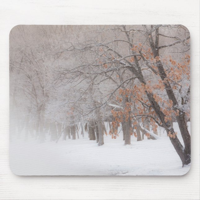 Mousepad Neve de Inverno | Lago Kussharo (Frente)