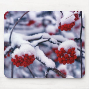 Mousepad Neve em Bagas de Cinza da Montanha Europeia, Utah.