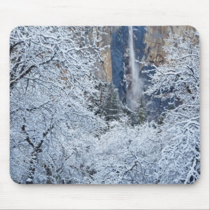 Mousepad Neve fresca nas árvores abaixo de Bridalveil