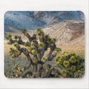 Mousepad Neve no Vale da Morte