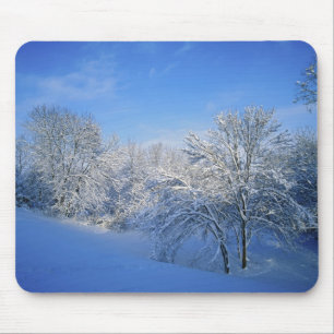 Mousepad Neve recorde em Louisville, Kentucky.