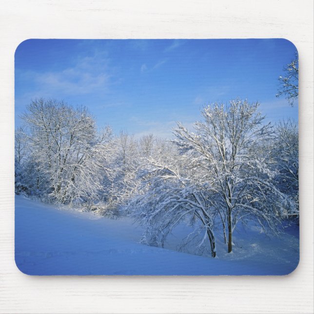 Mousepad Neve recorde em Louisville, Kentucky. (Frente)