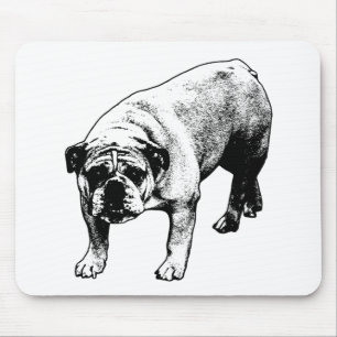 Mousepad Neve Secreta Quieta