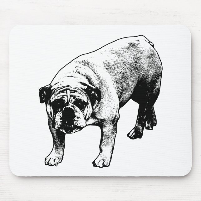 Mousepad Neve Secreta Quieta (Frente)