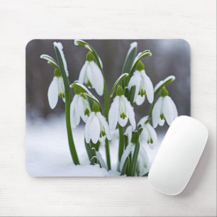 Mousepad Neves Na Neve
