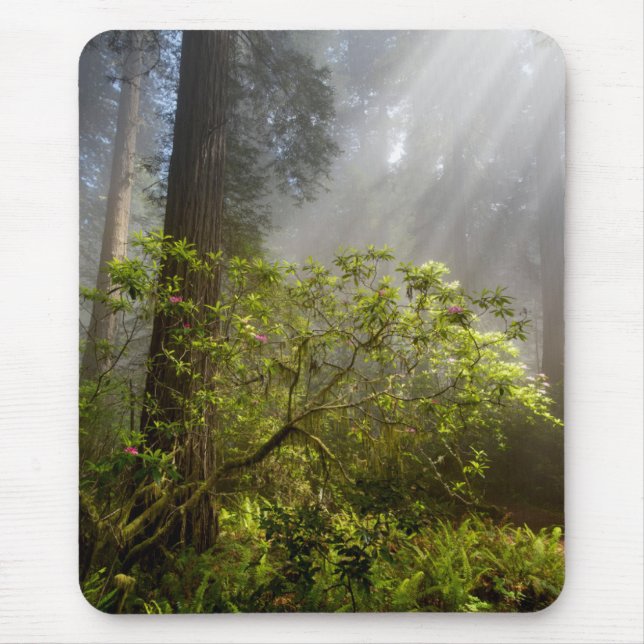 Mousepad Névoa da Manhã no Rhododendron (Frente)