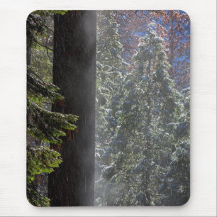 Mousepad Nevoeiro Nevado na Floresta