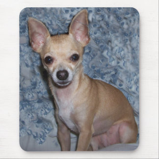 Mousepad nibblesportrait